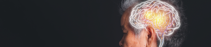 Dementia Care Fact Sheets & Tools